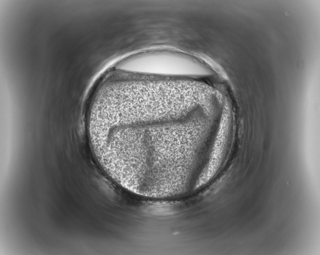 X0000085771167200704091347