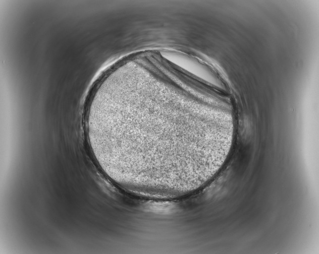 X0000085771168200704091347