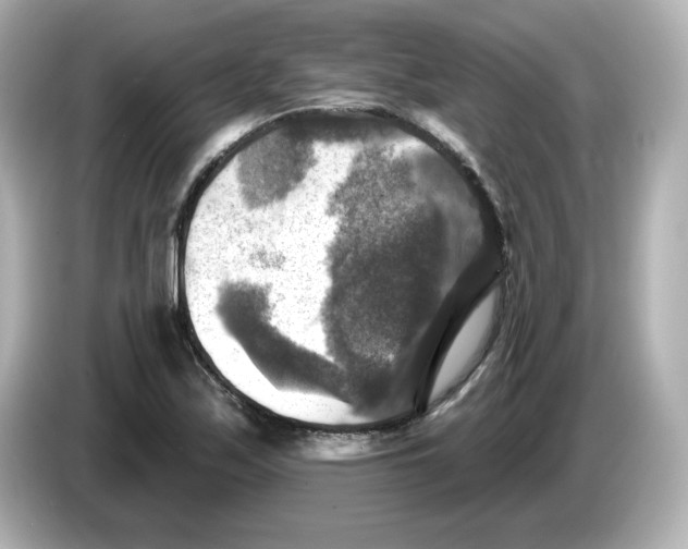 X0000085771171200704091347