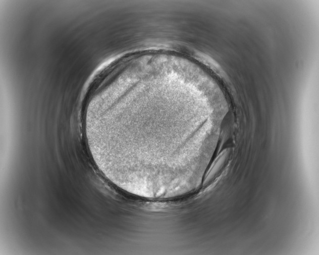 X0000085771172200704091347