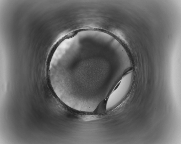 X0000085771173200704091347