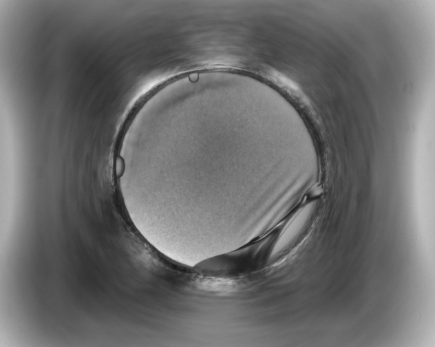 X0000085771174200704091347