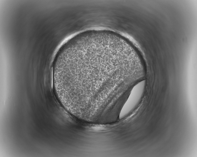 X0000085771175200704091347