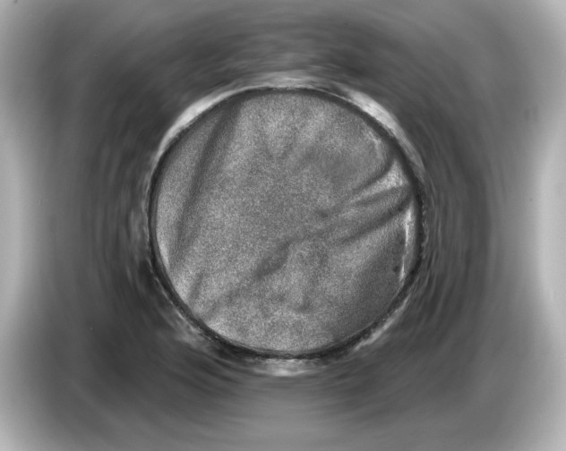 X0000085771176200704091347