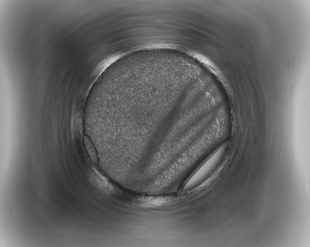 X0000085771177200704091347