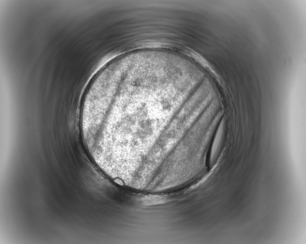 X0000085771178200704091347