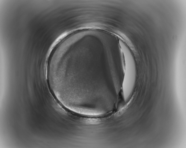 X0000085771180200704091347