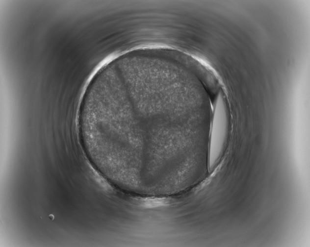 X0000085771181200704091347