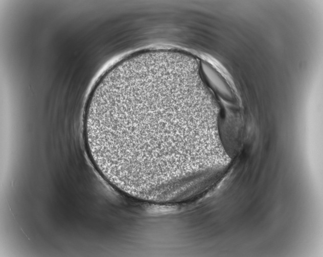 X0000085771183200704091347