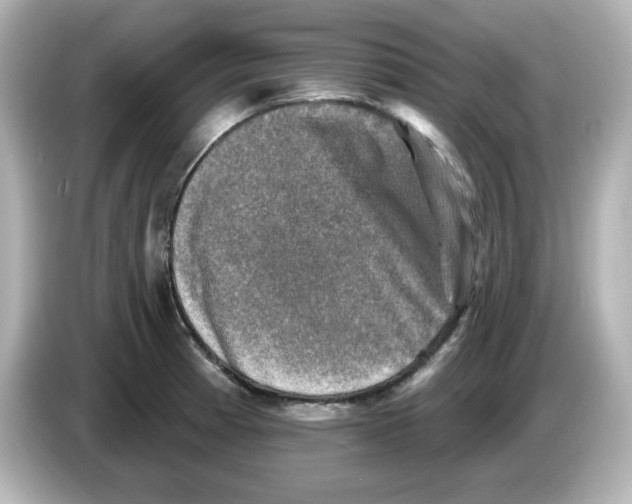 X0000085771185200704091347