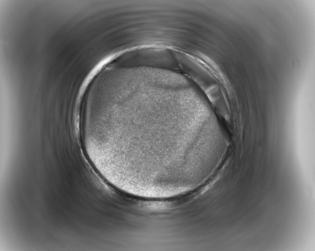 X0000085771188200704091347