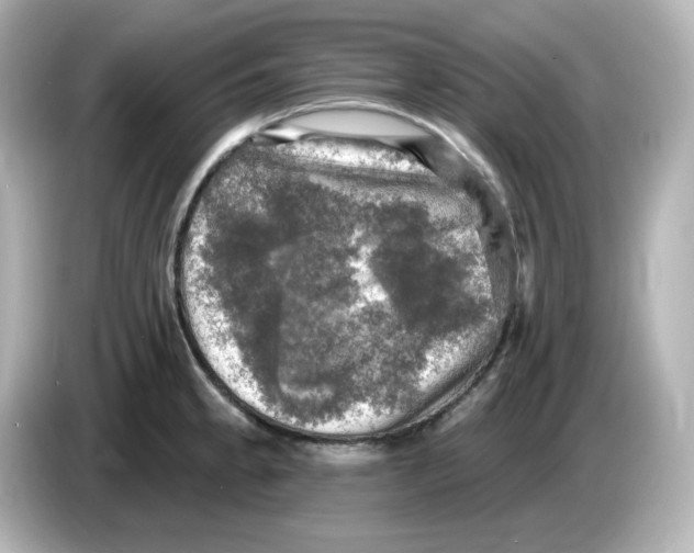 X0000085771189200704091347