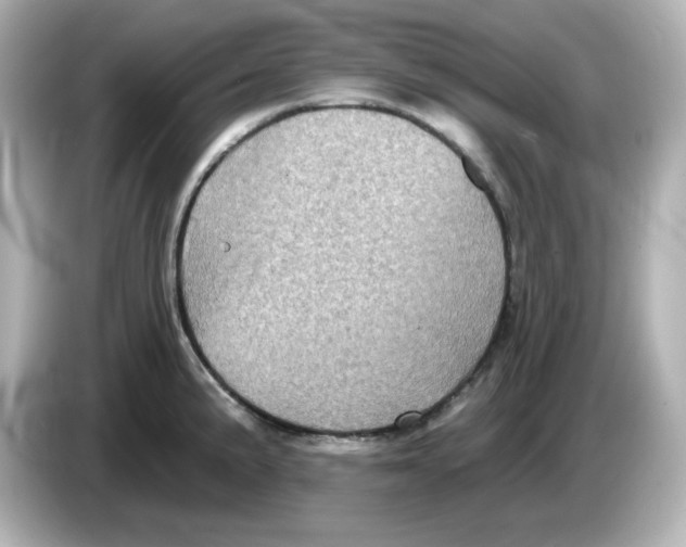 X0000085771191200704091347