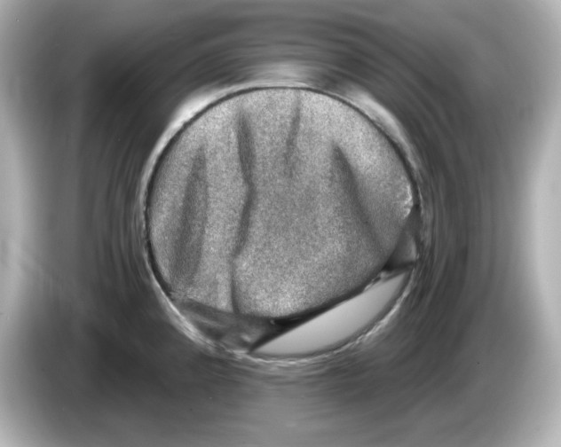 X0000085771192200704091347