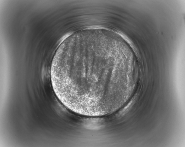 X0000085771193200704091347