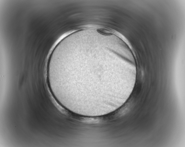 X0000085771195200704091347