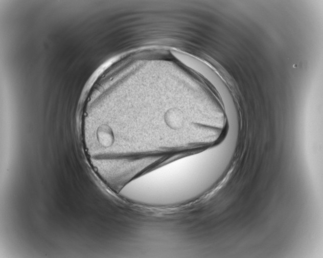 X0000085771196200704091347