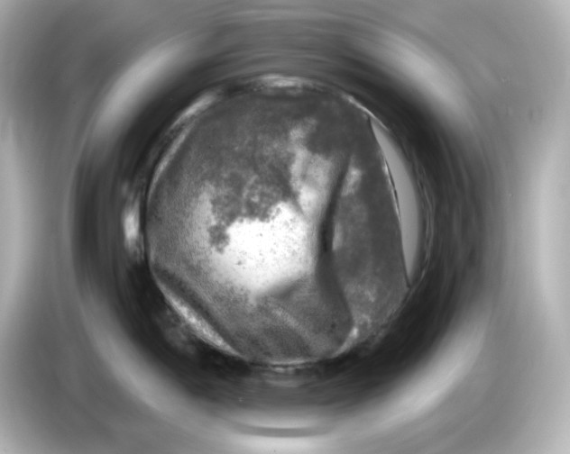 X0000085771198200704091347