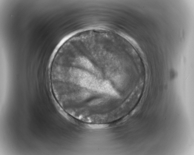 X0000085771200200704091347