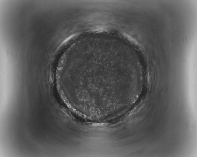 X0000085771206200704091346