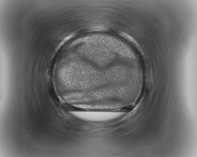 X0000085771210200704091346