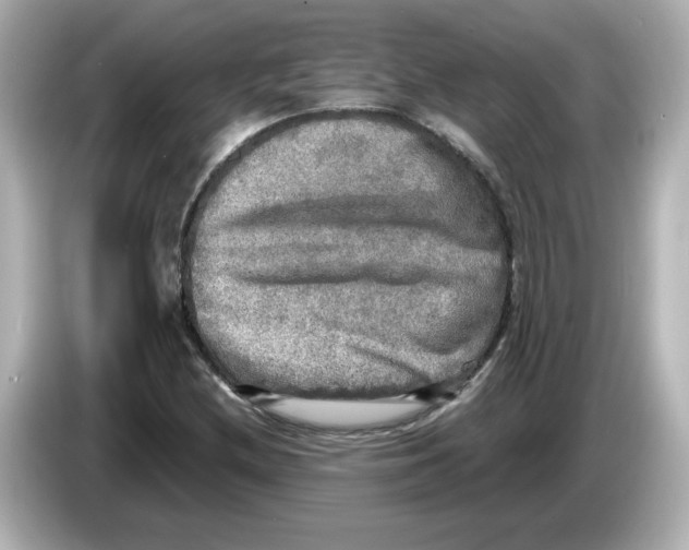 X0000085771212200704091346