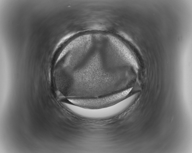 X0000085771214200704091346