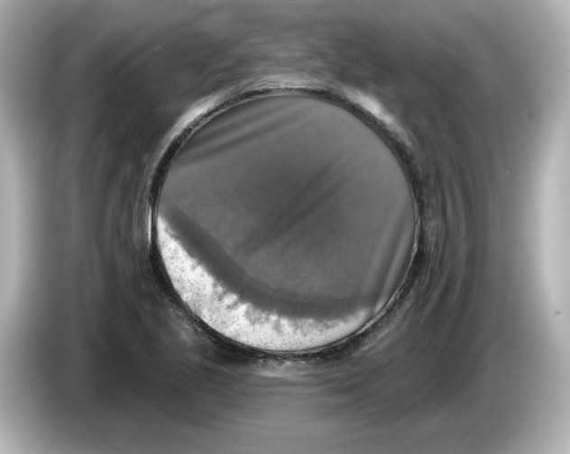 X0000085771221200704091347