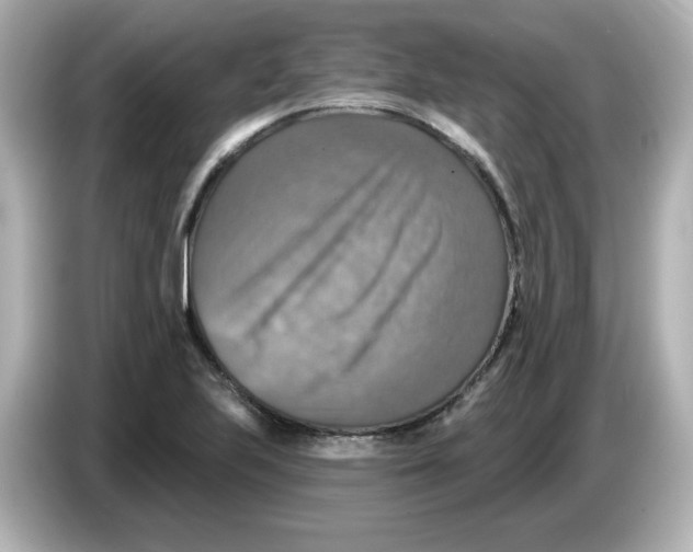 X0000085771223200704091347