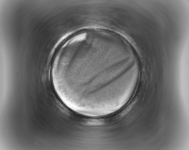 X0000085771224200704091347