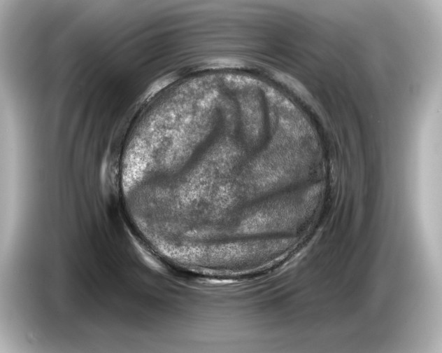 X0000085771225200704091347