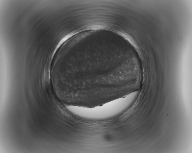 X0000085771226200704091347