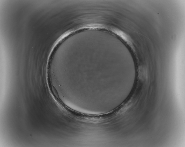 X0000085771229200704091347