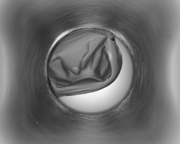 X0000085771230200704091347