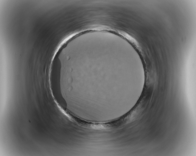 X0000085771231200704091347