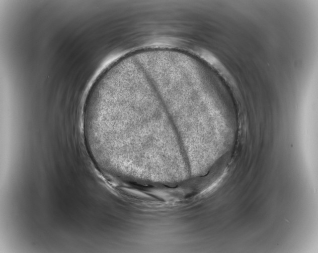 X0000085771232200704091347