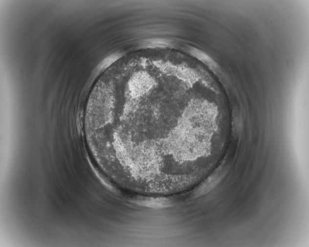 X0000085771233200704091347