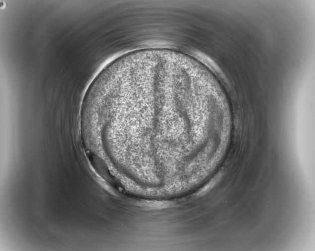 X0000085771236200704091347