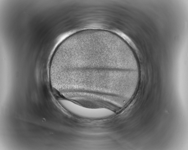 X0000085771238200704091347