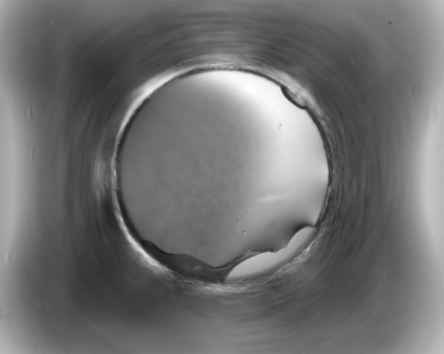 X0000085771239200704091347