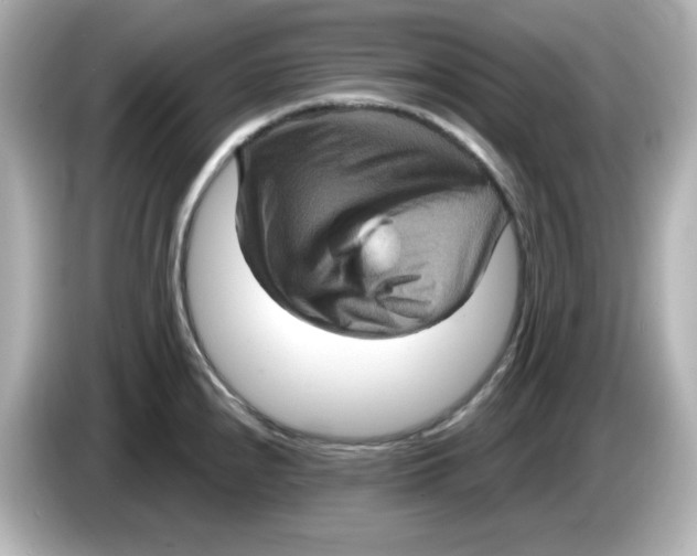 X0000085771240200704091347