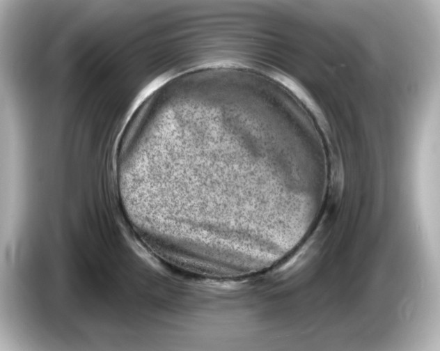 X0000085771242200704091347