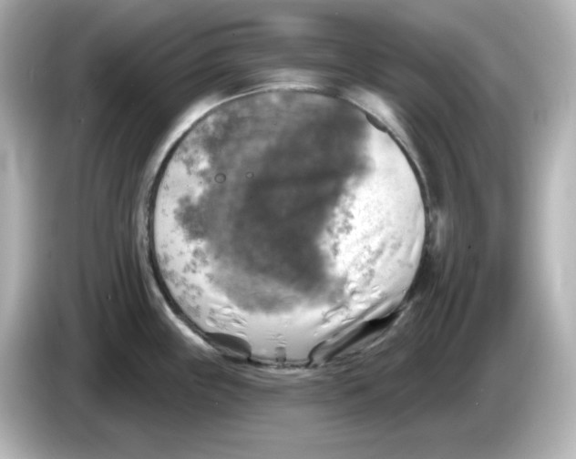 X0000085771243200704091347