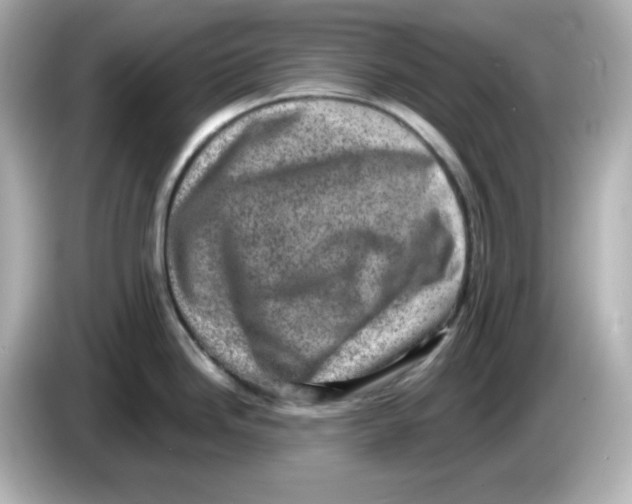 X0000085771246200704091347