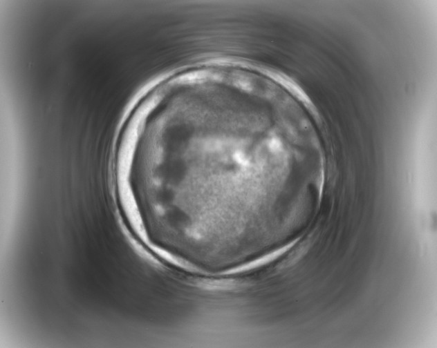 X0000085771247200704091347