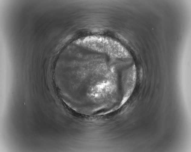 X0000085771249200704091346