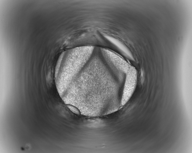 X0000085771250200704091346