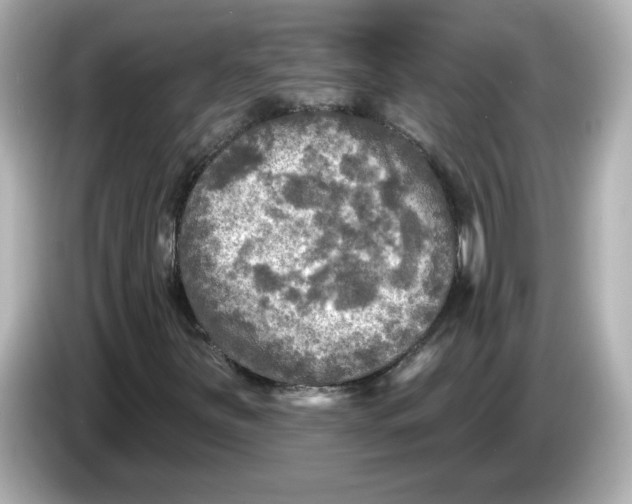 X0000085771251200704091346