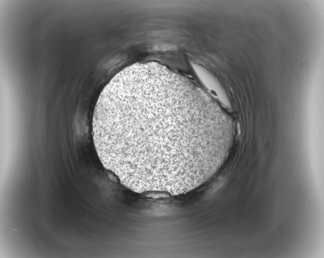 X0000085771252200704091346