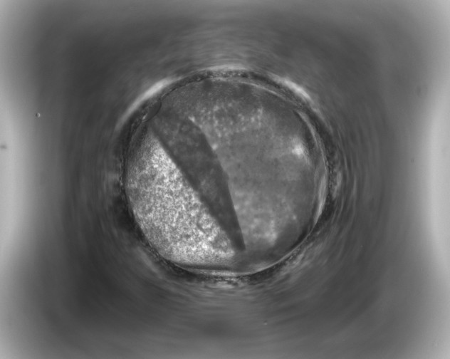 X0000085771255200704091346